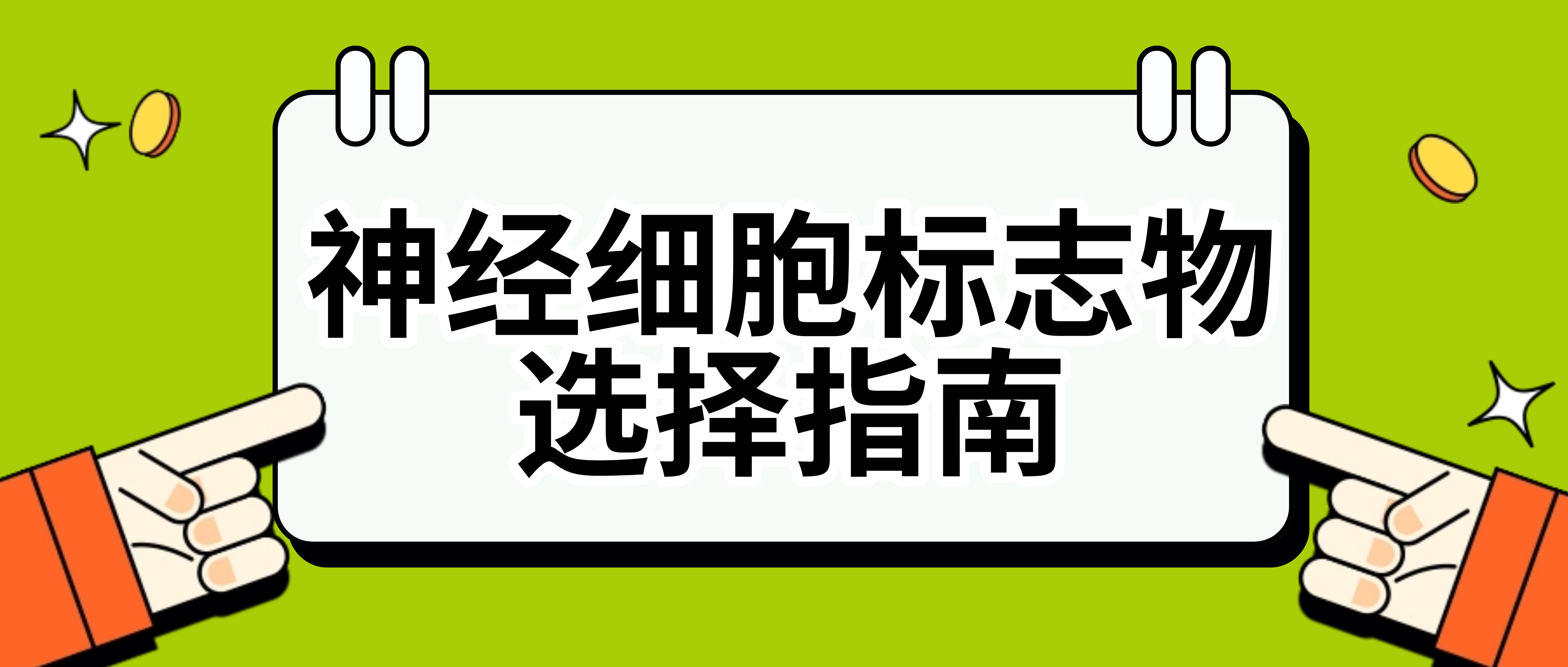 標(biāo)簽抗體